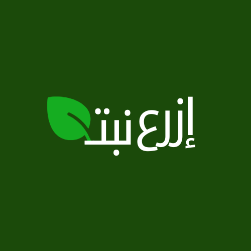 Ezra Nabtah Logo
